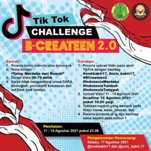 Read more about the article Tiktok Challenge BCreateen 2.0