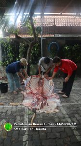 Pemotongan hewan kurban Idul Adha 1445H-2024M
