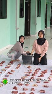 Pemotongan hewan kurban Idul Adha 1445H-2024M