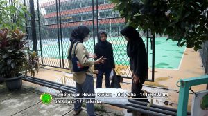 Pemotongan hewan kurban Idul Adha 1445H-2024M