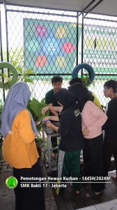 Pemotongan hewan kurban Idul Adha 1445H-2024M