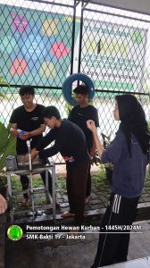Pemotongan hewan kurban Idul Adha 1445H-2024M