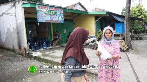 Pemotongan hewan kurban Idul Adha 1445H-2024M