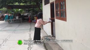 Pemotongan hewan kurban Idul Adha 1445H-2024M